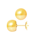 PERLINEA Boucles d'Oreilles Perles de Culture Bouton Diamètre 9-10 mm Gold - Or Jaune